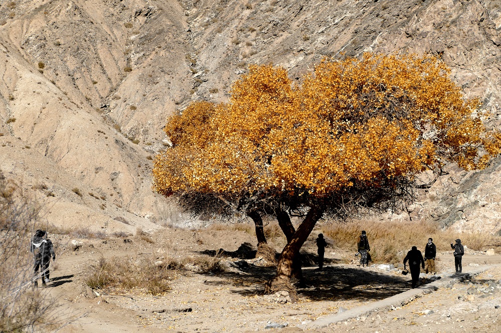 f82472f1-275d-481f-80de-4135a737ff6d