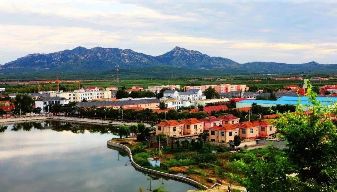 青島市&ldquo;十四五&rdquo;生態(tài)環(huán)境保護(hù)規(guī)劃了哪些農(nóng)村人居環(huán)境治理任務(wù)？